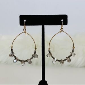 Crystal & Seed Skinny Hoop Earrings